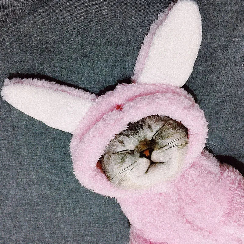 Cat clothes in cute pink rabbit design for kittens, soft cotton fabric, available in multiple sizes