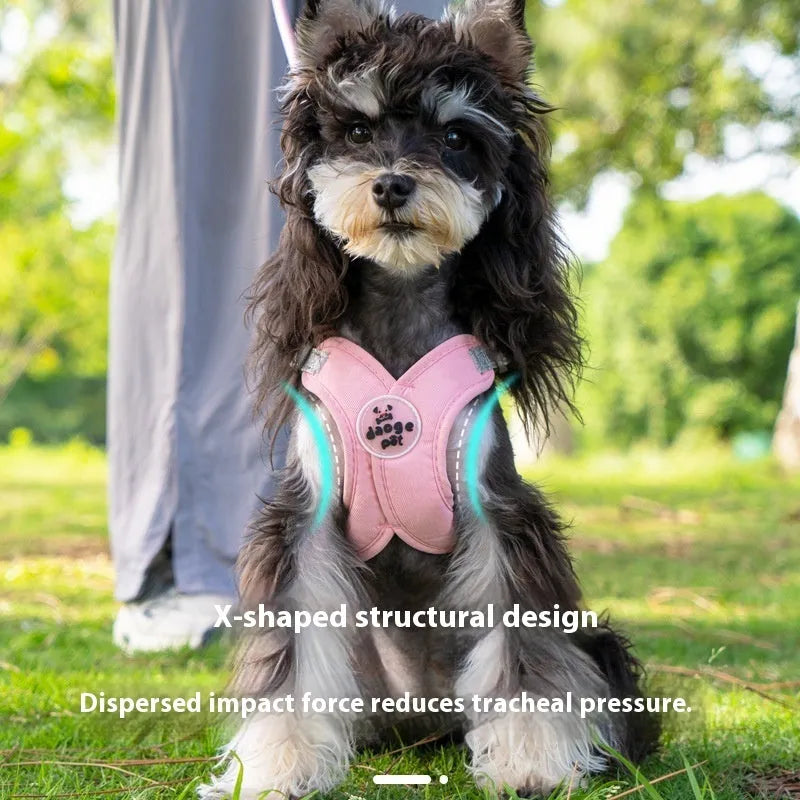 Polyester pet harness and hand holding rope set in blue, shown with a vest and separate lead.