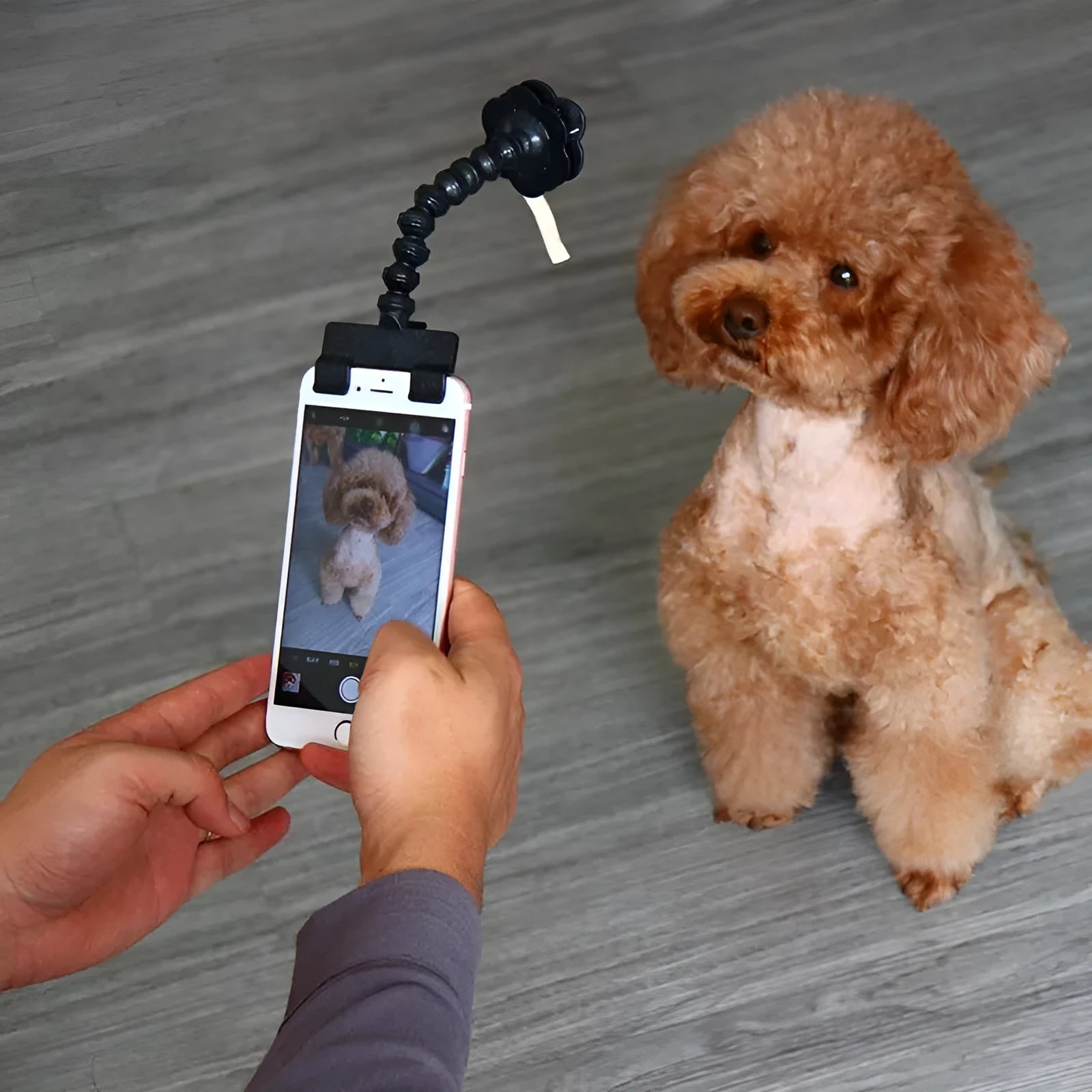 Black or white PVC pet selfie stick extended to 14.6cm with square and flower clips for mobile phone photography