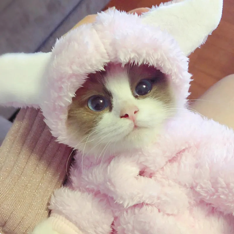 Cat clothes in cute pink rabbit design for kittens, soft cotton fabric, available in multiple sizes