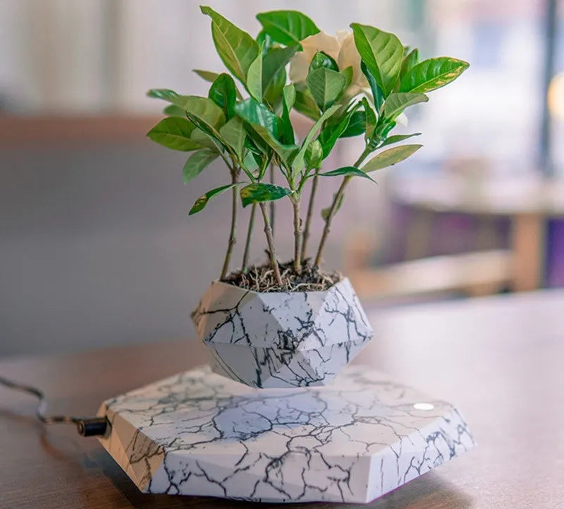 Marbling colour magnetic levitating plant pot floating with bonsai in modern home setting