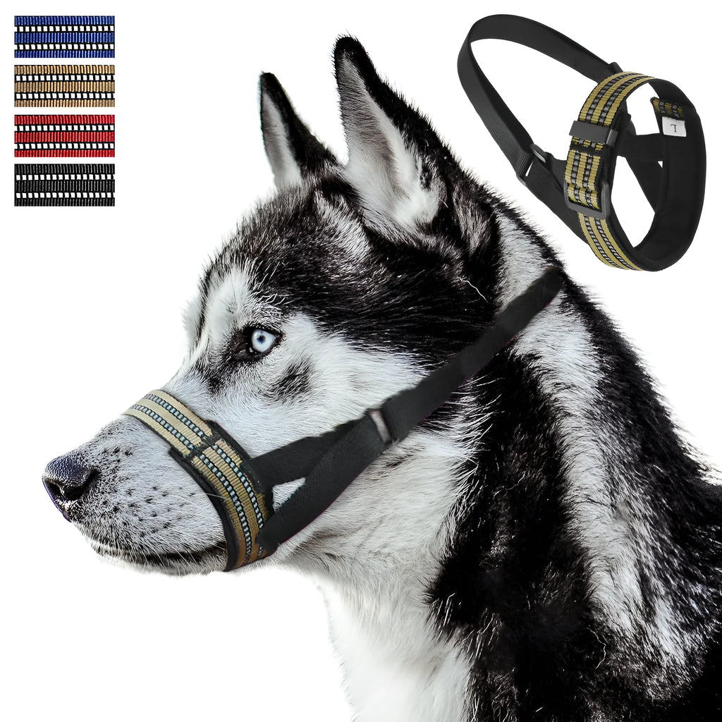 Adjustable reflective dog muzzle in blue shown on a large breed dog, with straps fastened.