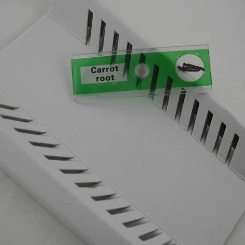 48 plastic microscope slides in red, green, yellow, blue boxes with plant and animal specimens for children's science observation