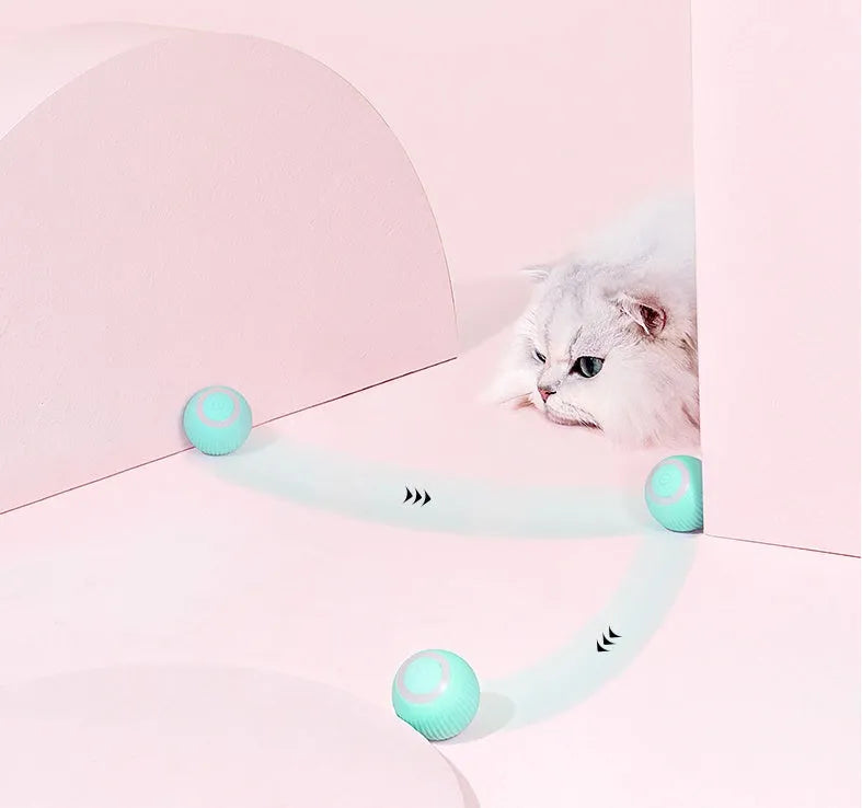 Cat Gravity Intelligent Rolling Ball 43mm automatic pet toy with bionic motion and obstacle avoidance on hard floor