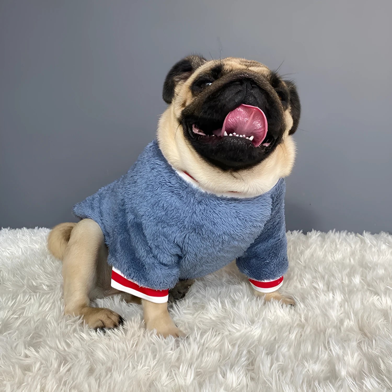 Blue cotton dog sweater for small to large breeds, S to XXL sizes, bust 45 to 65 cm