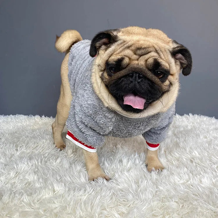 Blue cotton dog sweater for small to large breeds, S to XXL sizes, bust 45 to 65 cm