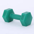 Ladies hexagon dumbbell in green with sand filling PE material 1kg weight for aerobics fitness