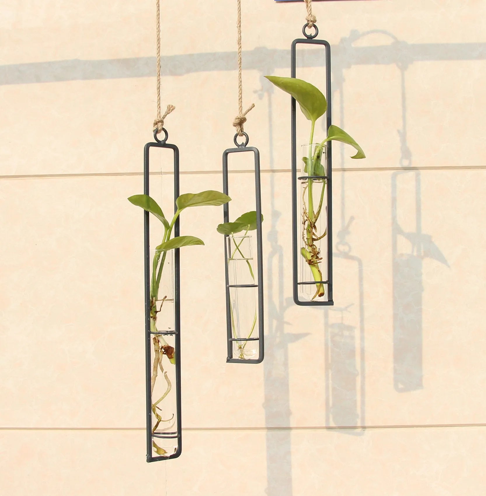 Glass hydroponic vase with wrought iron frame, bionic grey finish, hanging test tube with hemp rope