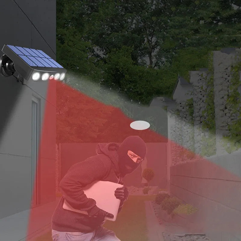 Induction security wall lamp for outdoor garden installation with motion sensor