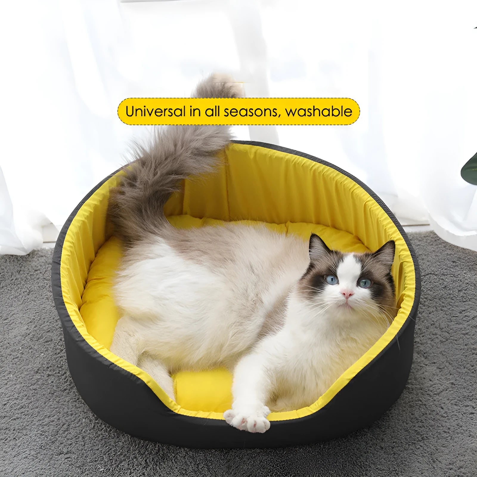 Washable cloth pet kennel for cats and dogs in black or green, shown in small, medium, and large sizes.
