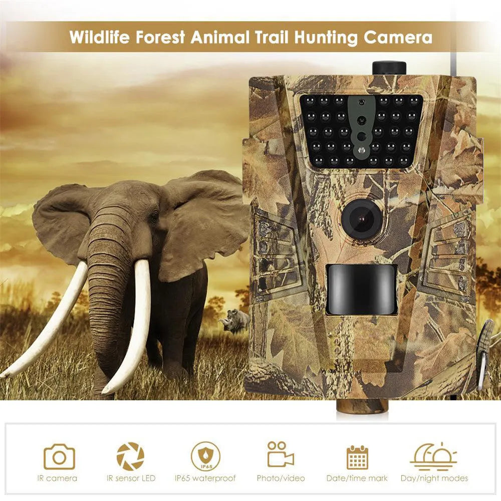 Orchard surveillance anti-theft camera with night vision for farm security monitoring