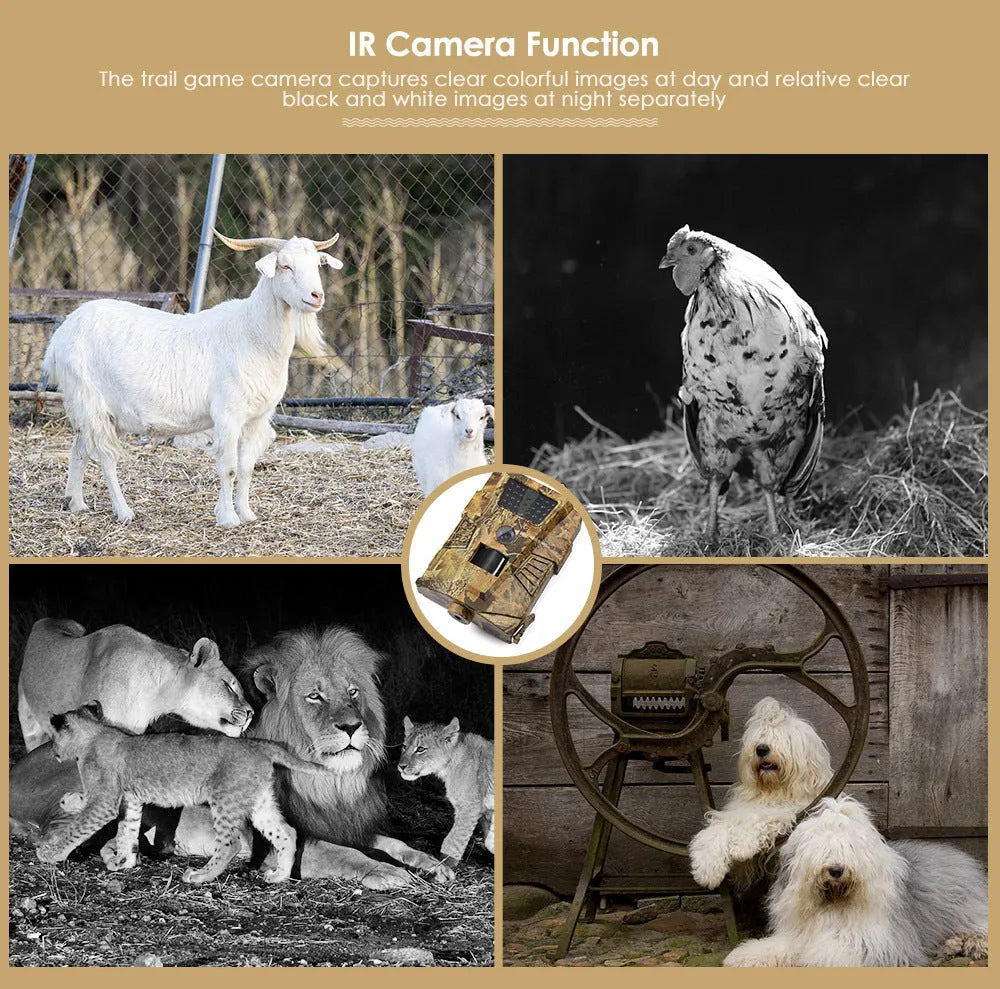Orchard surveillance anti-theft camera with night vision for farm security monitoring