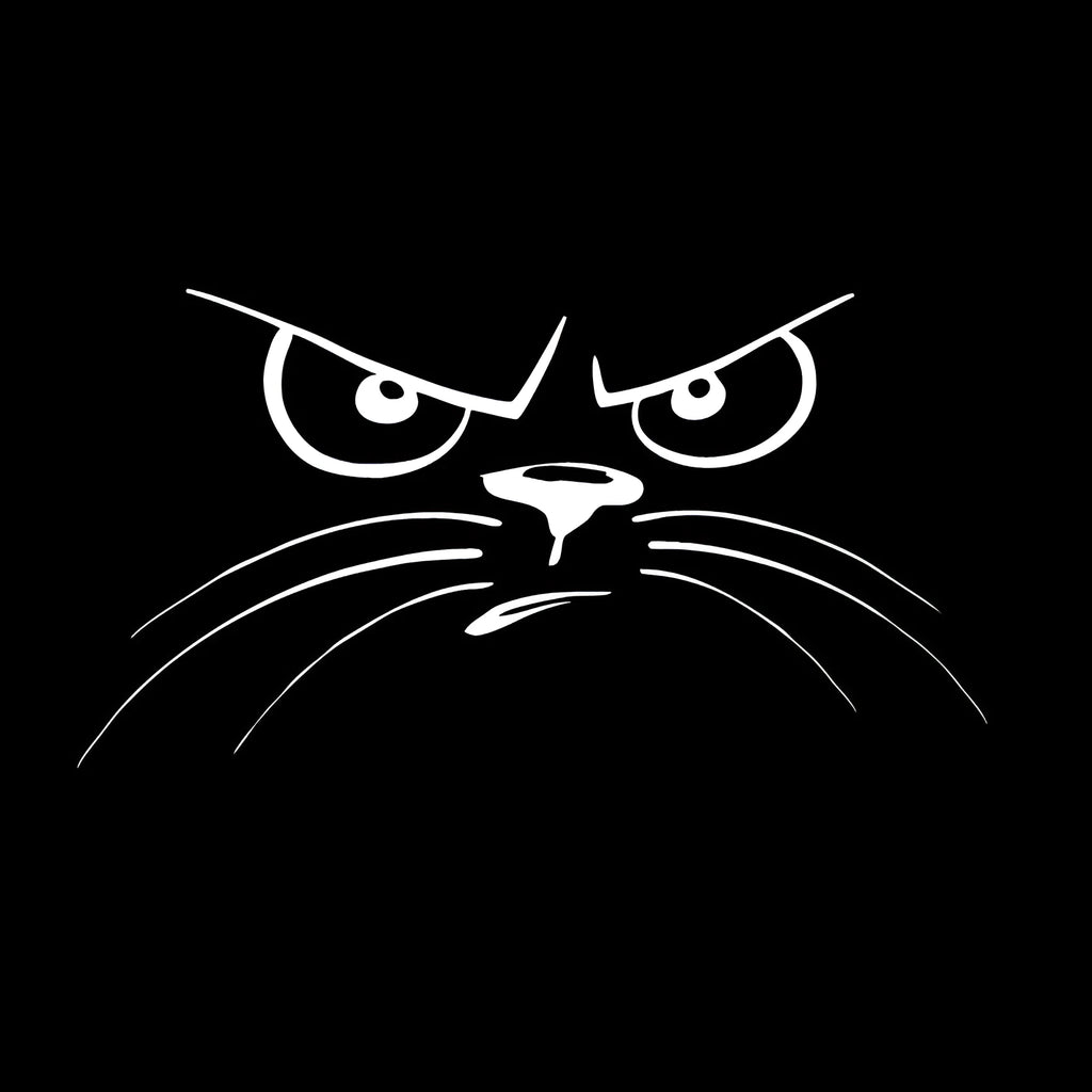 J-078 Not Happy Cat Face reflective car sticker 16.5x9cm in black and white on a car bumper