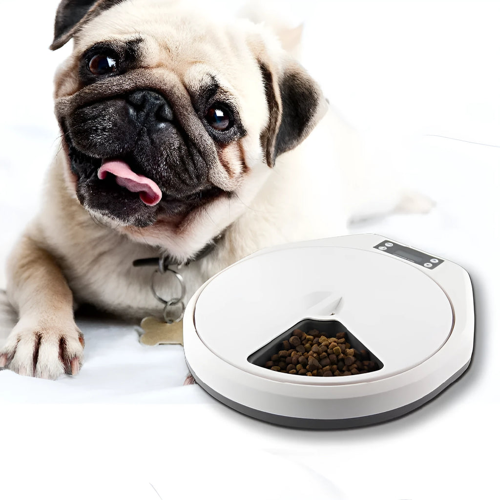Pet automatic multi-grid feeder with five meal cells and timer display for cats and dogs