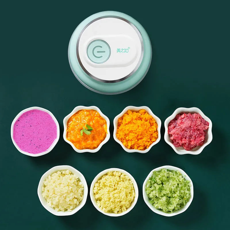 Portable electric mini food chopper with transparent cup and stainless steel blades