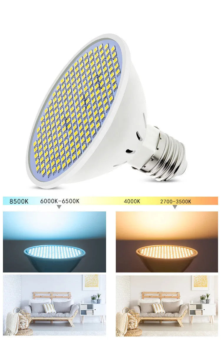 E27 LED lamp cup bulb with PC body shown in warm white and cool white light options.