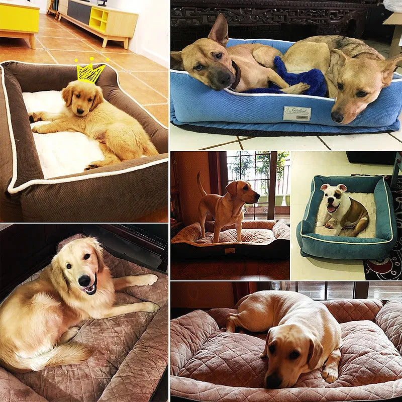 Four Seasons kennel dog bed with removable washable cover, available in blue, for medium and large dogs like golden retrievers