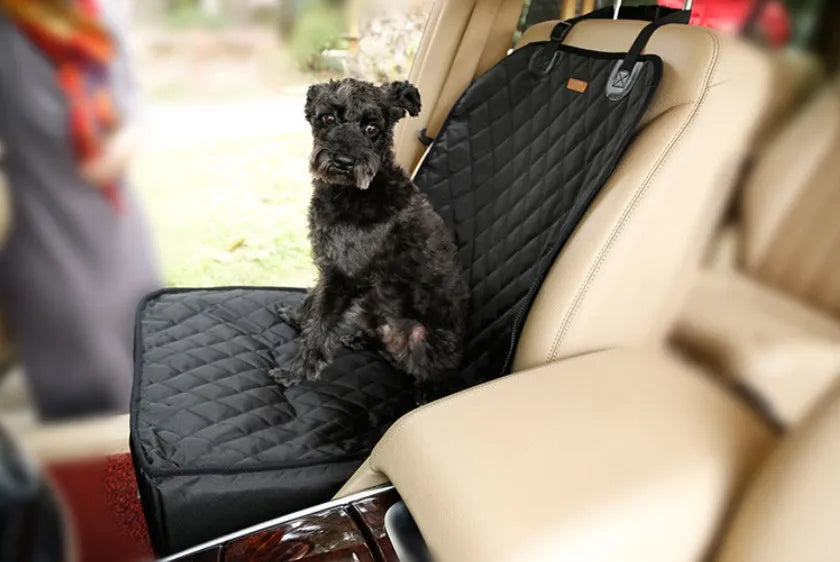 Car waterproof pad in waterproof nylon for pet backseat protection, free size, available in multiple colours
