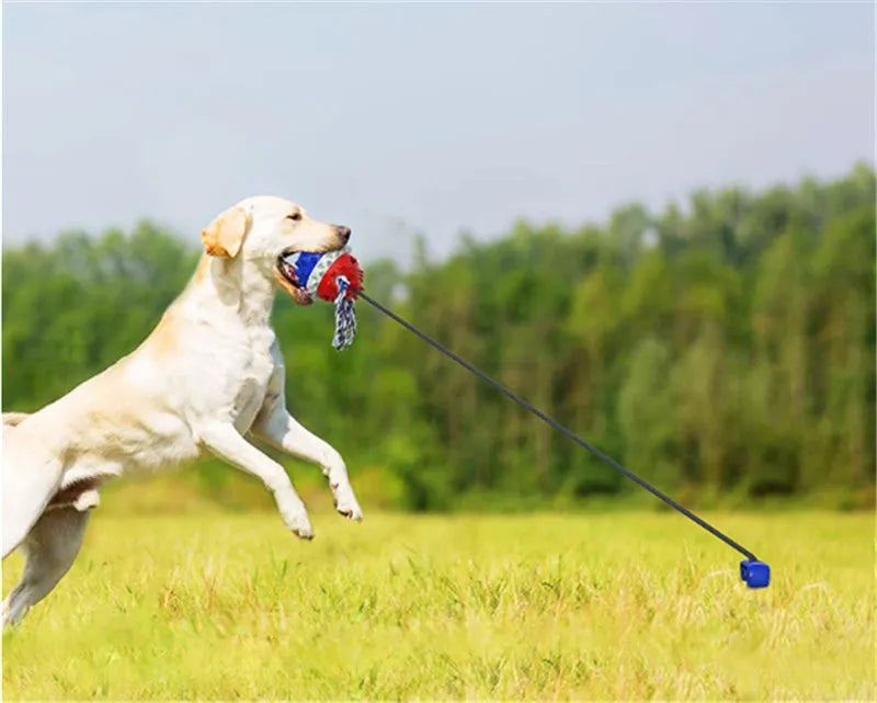 Bright yellow TPR dog draw rope ball for teething and fetch on grass