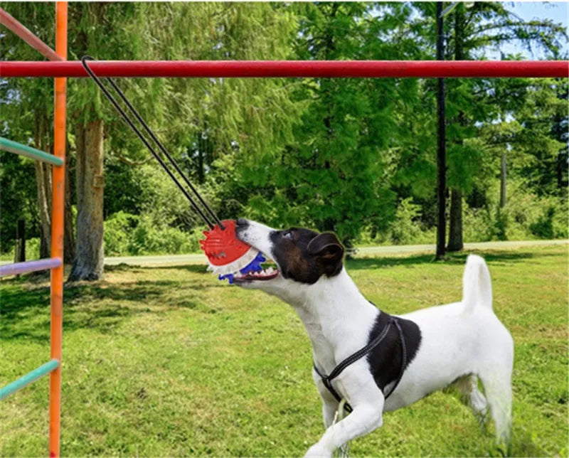 Bright yellow TPR dog draw rope ball for teething and fetch on grass