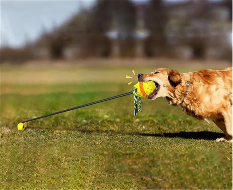 Bright yellow TPR dog draw rope ball for teething and fetch on grass