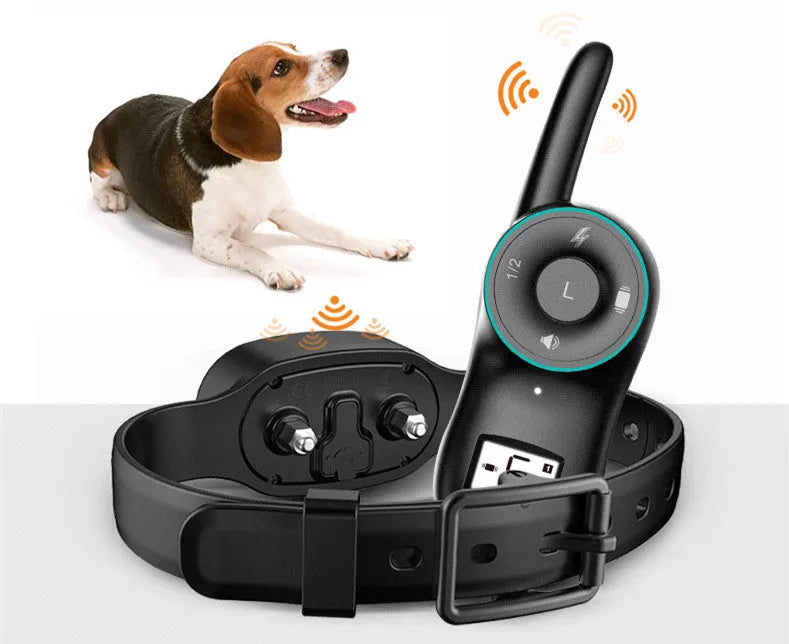 Rechargeable remote dog training collar with waterproof black or orange receiver