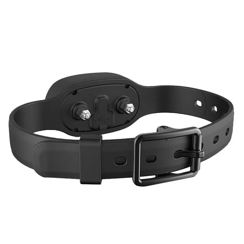 Rechargeable remote dog training collar with waterproof black or orange receiver