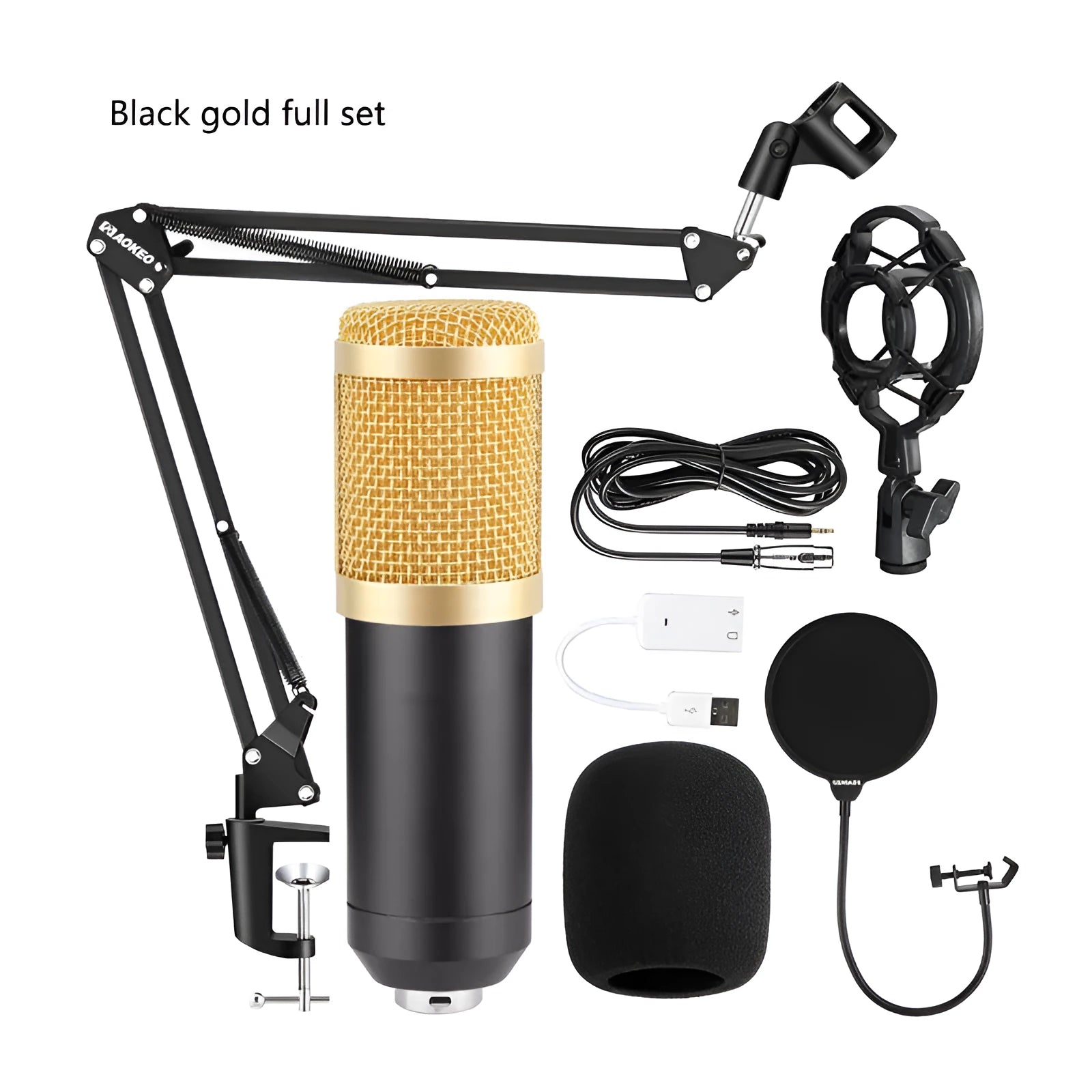 BM800 condenser microphone kit with large diaphragm capsule, shock mount, pop filter, and desk bracket on a black background.