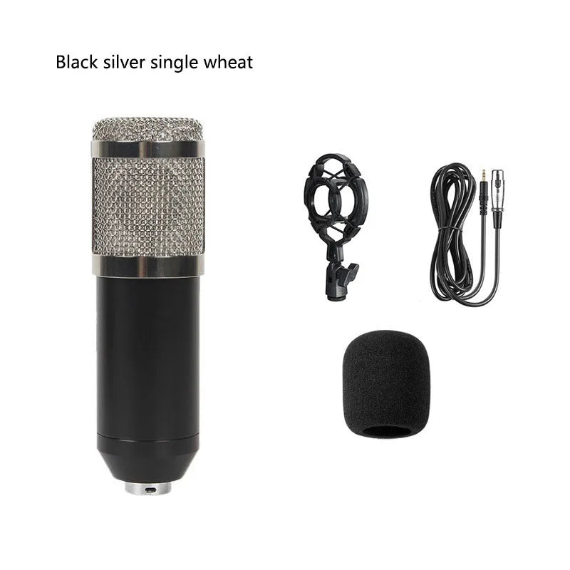 BM800 condenser microphone kit with large diaphragm capsule, shock mount, pop filter, and desk bracket on a black background.
