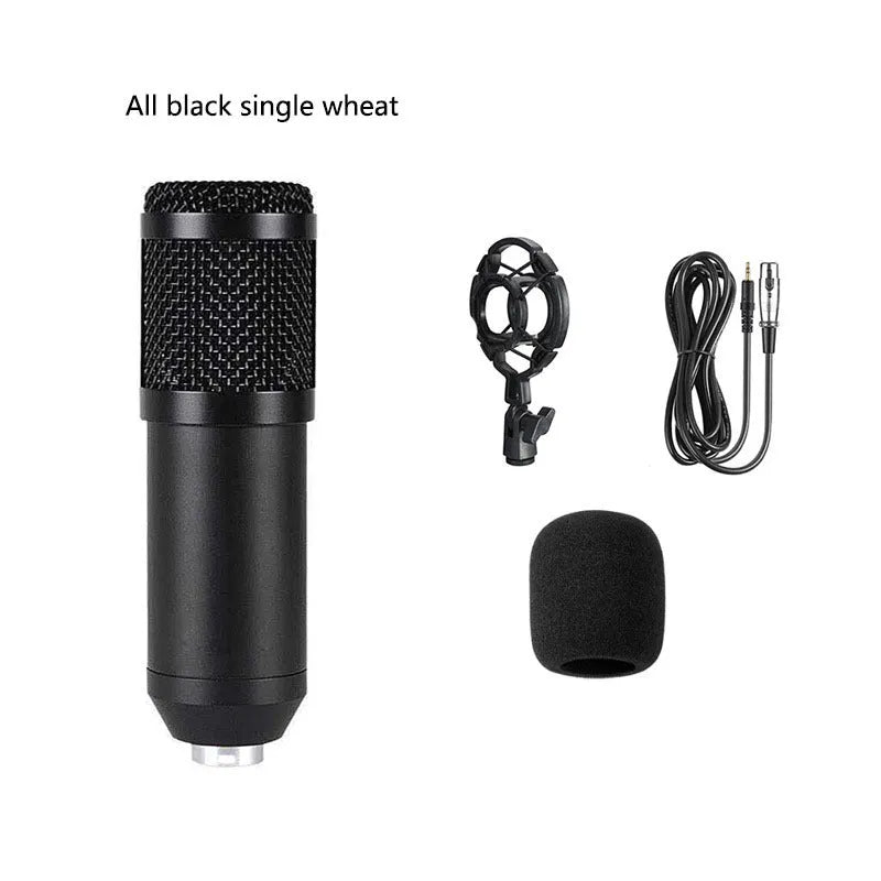 BM800 condenser microphone kit with large diaphragm capsule, shock mount, pop filter, and desk bracket on a black background.