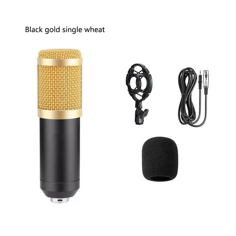 BM800 condenser microphone kit with large diaphragm capsule, shock mount, pop filter, and desk bracket on a black background.