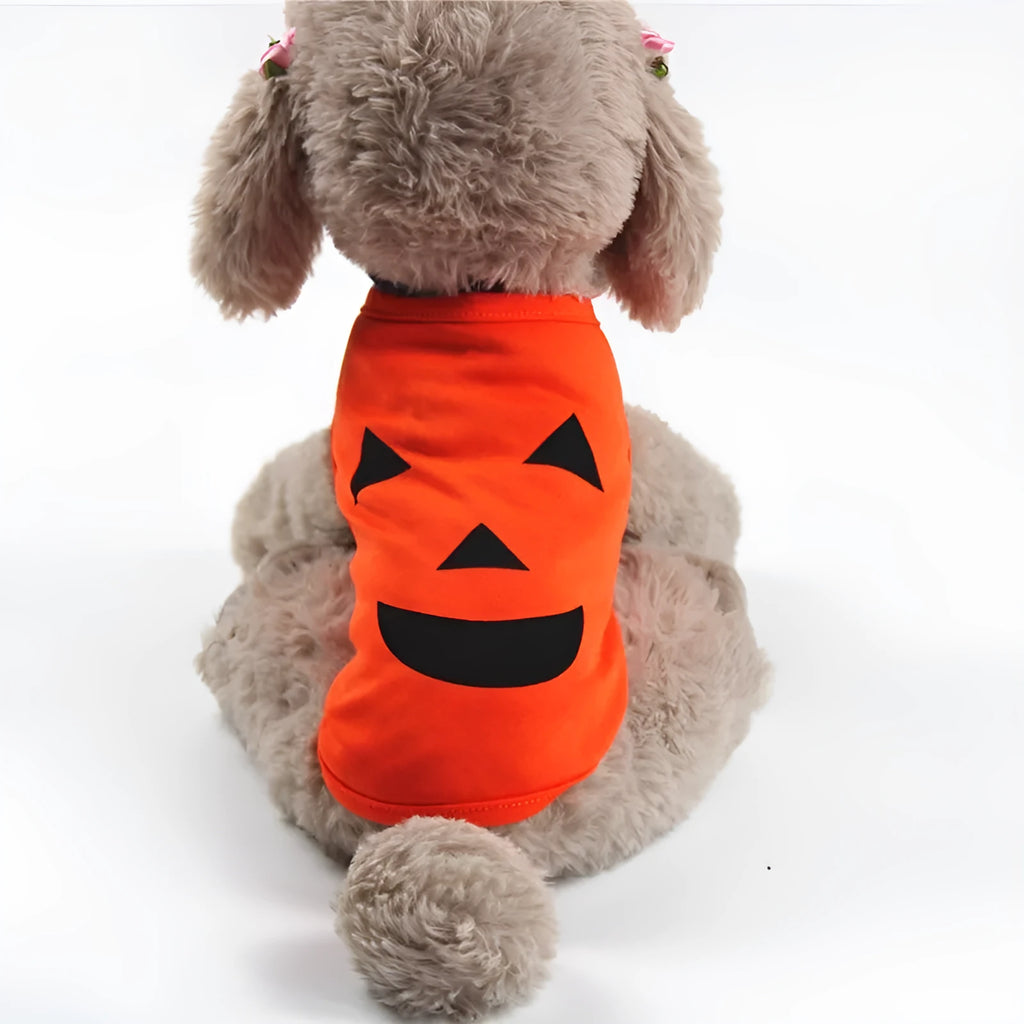 Orange Halloween pumpkin pet shirt with two face style options, for cats and small to medium dogs, sizes XS to XXL