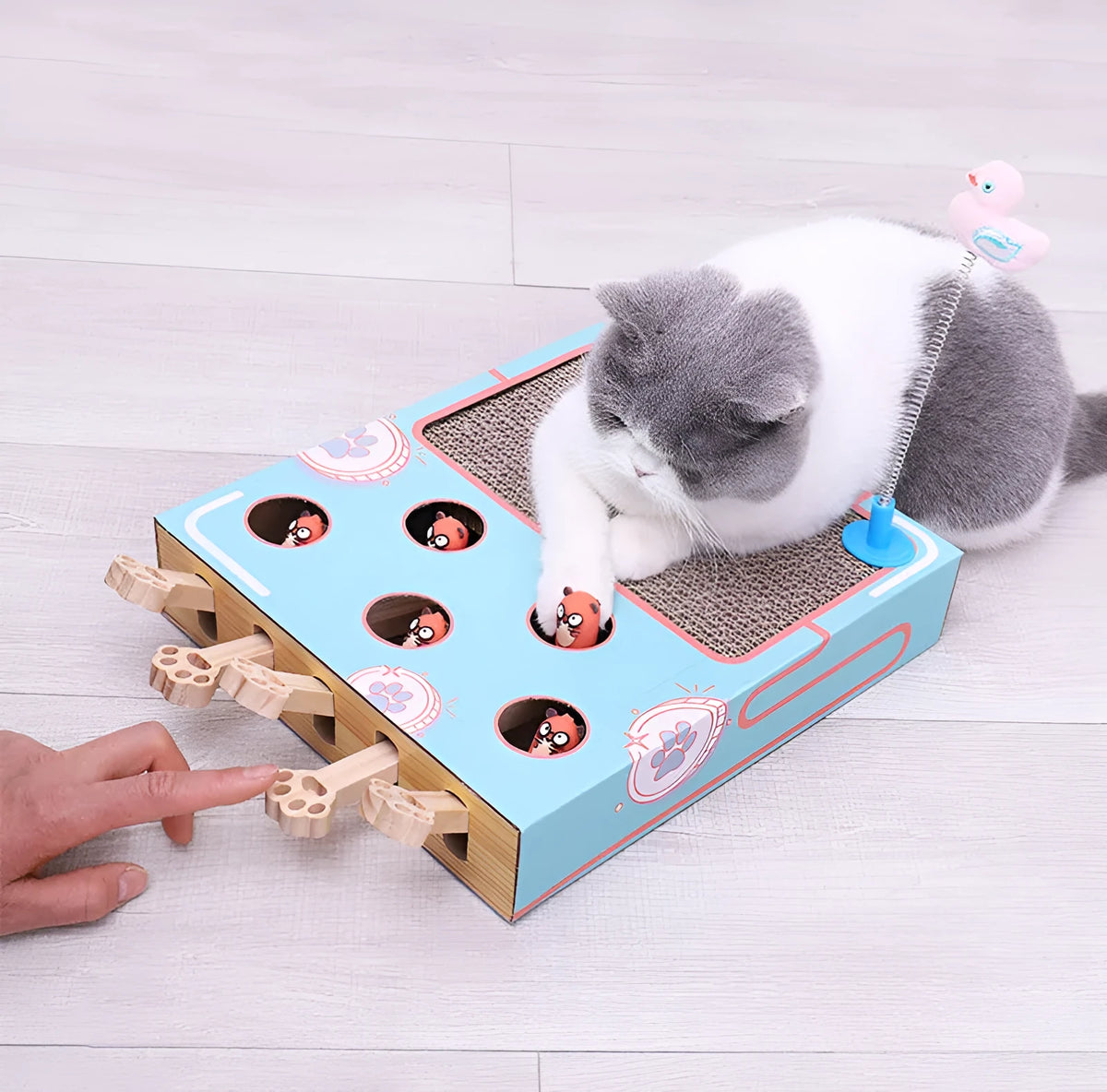 Blue whack-a-mole cat toy made from cardboard and wood, measuring 36x26x6cm for indoor use