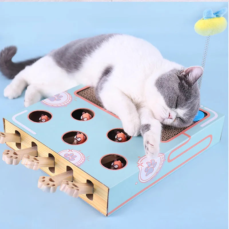 Blue whack-a-mole cat toy made from cardboard and wood, measuring 36x26x6cm for indoor use