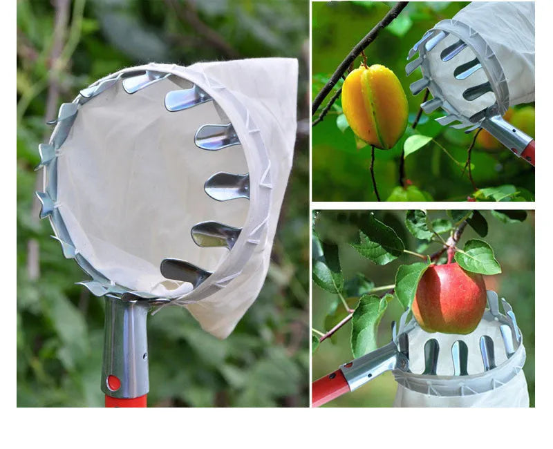 Steel wire frame fruit picker with fabric collection basket for garden harvesting