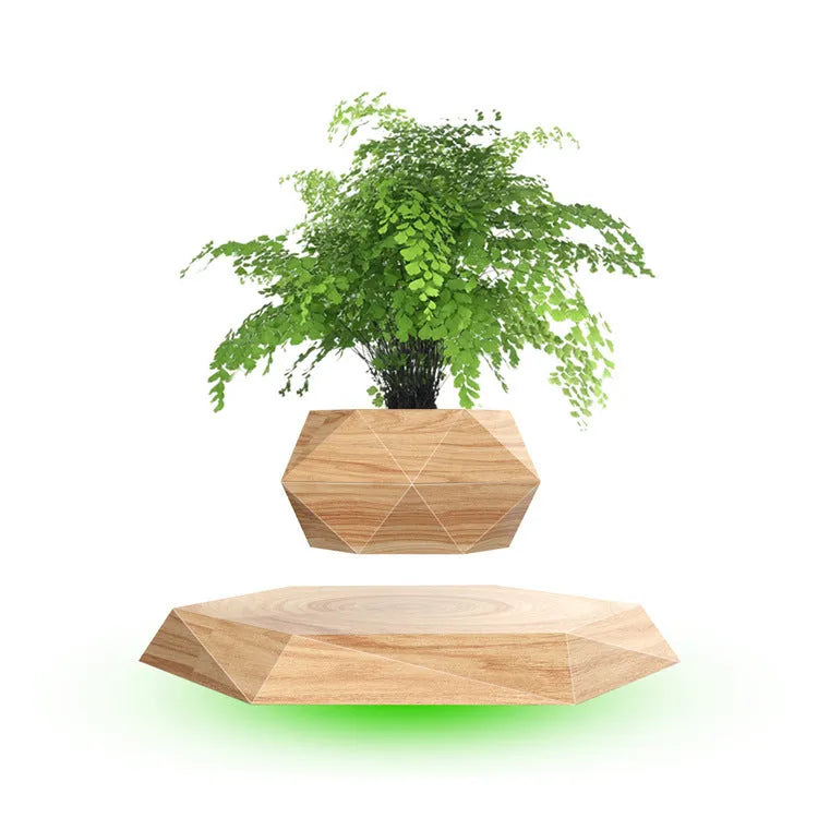 Magnetic floating bonsai plant rack with wooden base in light wood grain finish, 17x3cm, displayed on a desk