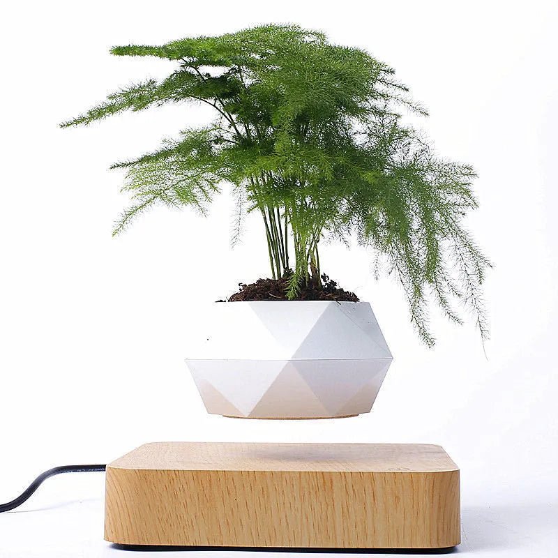 Magnetic floating bonsai plant rack with wooden base in light wood grain finish, 17x3cm, displayed on a desk