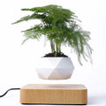 Magnetic floating bonsai plant rack with wooden base in light wood grain finish, 17x3cm, displayed on a desk
