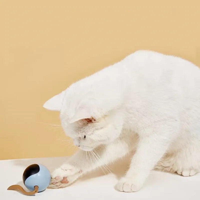 Pet Smart Interactive Colorful LED Rotating Ball for cats, ABS PVC, 48mm ball diameter, black