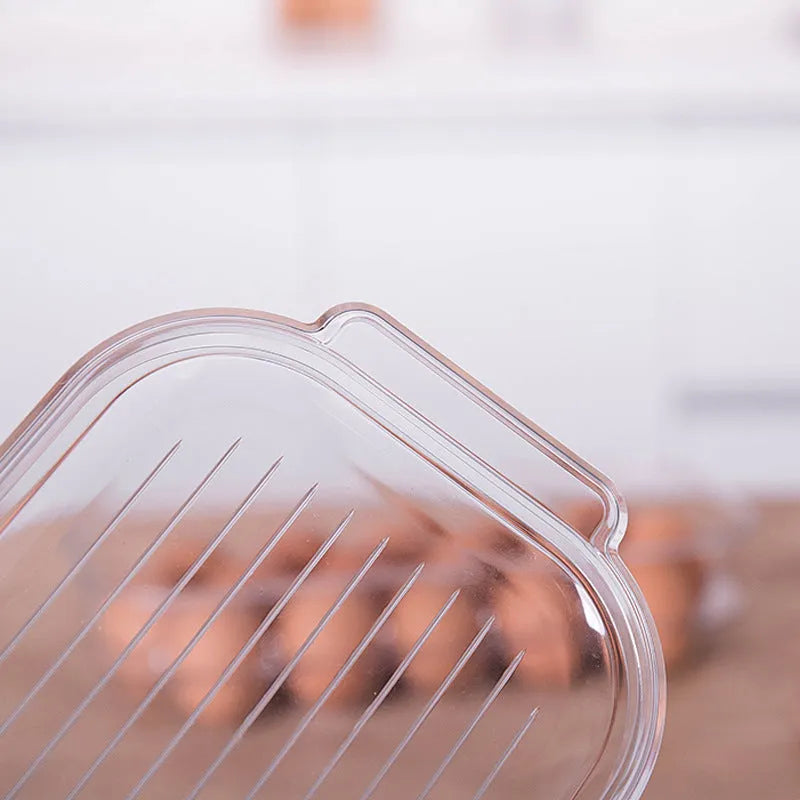 Transparent PET egg storage box for refrigerator, 31.4 cm length, with white background