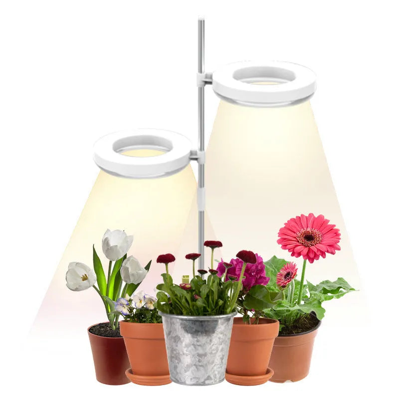 A white clamp-on plant growth lamp with an adjustable head, positioned next to small indoor potted plants on a desk.