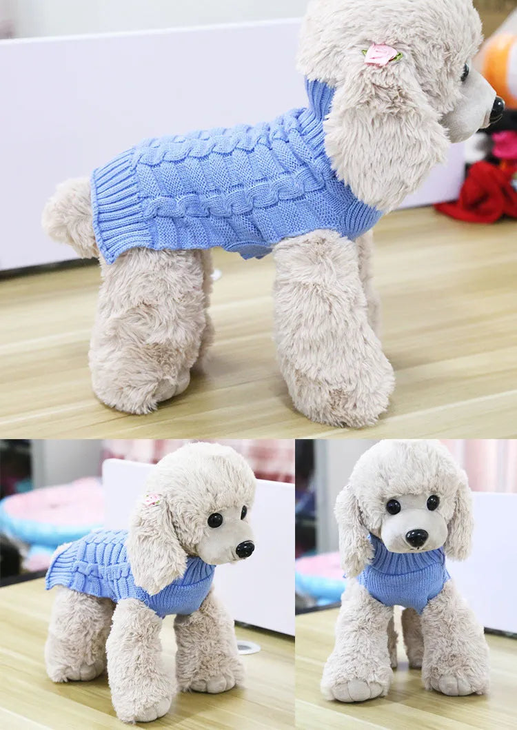 A dog wearing a blue twisted rope knit wool sweater, showing the cable texture and fit.
