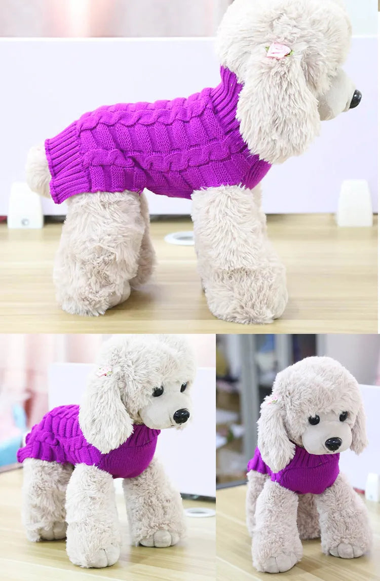 A dog wearing a blue twisted rope knit wool sweater, showing the cable texture and fit.