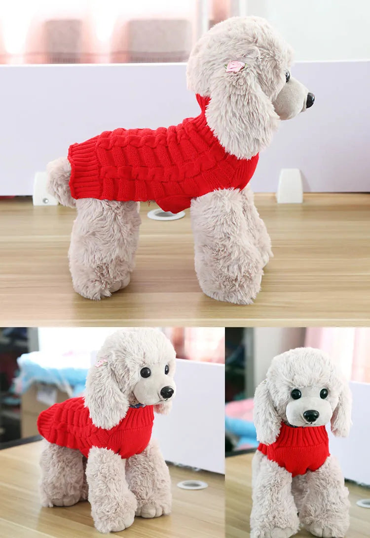 A dog wearing a blue twisted rope knit wool sweater, showing the cable texture and fit.
