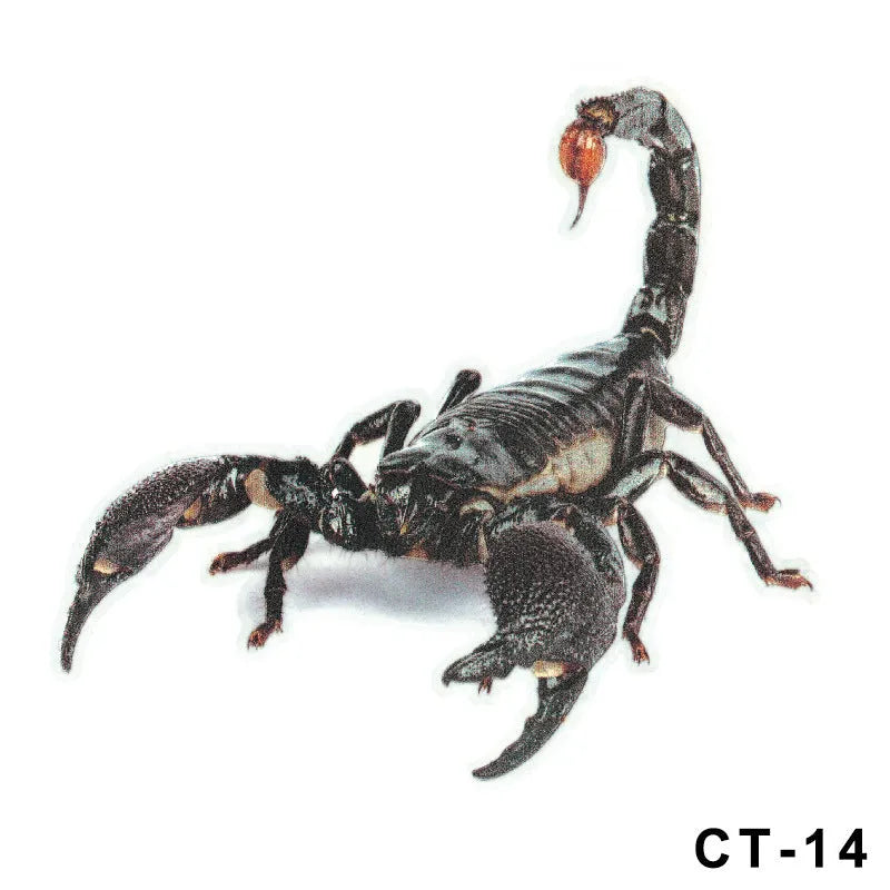 Set of four 3D transparent PVC car stickers featuring spider, gecko, scorpion, and spider designs on a vehicle panel