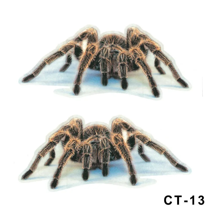 Set of four 3D transparent PVC car stickers featuring spider, gecko, scorpion, and spider designs on a vehicle panel