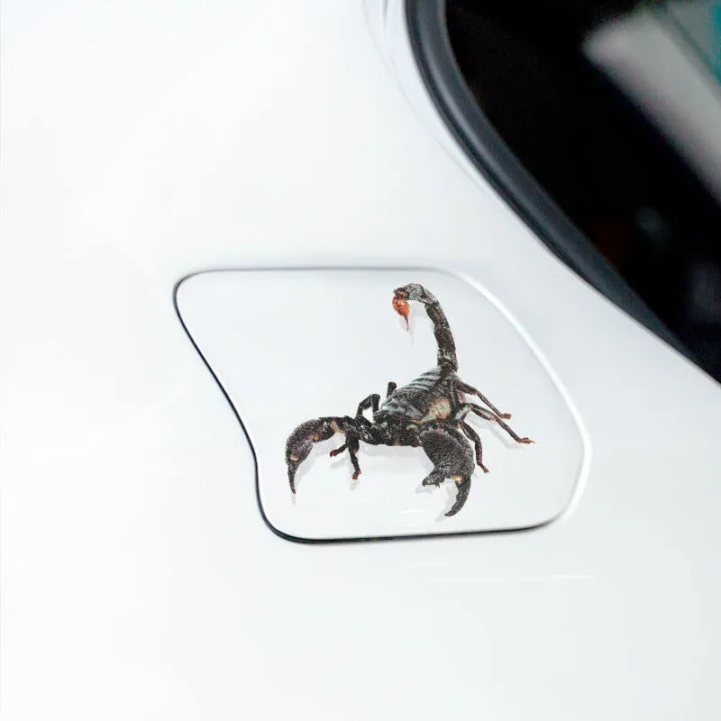 Set of four 3D transparent PVC car stickers featuring spider, gecko, scorpion, and spider designs on a vehicle panel
