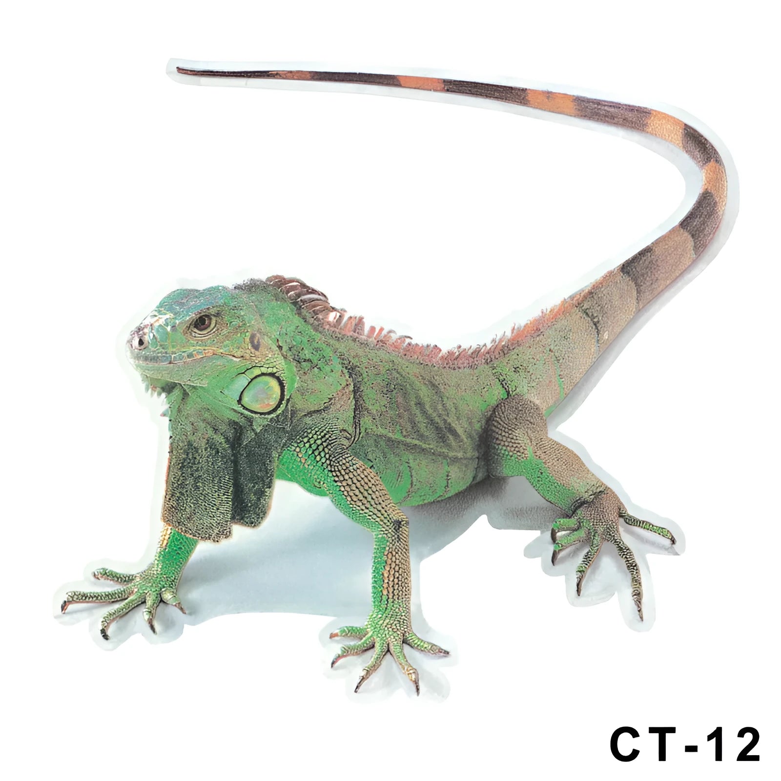 Set of four 3D transparent PVC car stickers featuring spider, gecko, scorpion, and spider designs on a vehicle panel