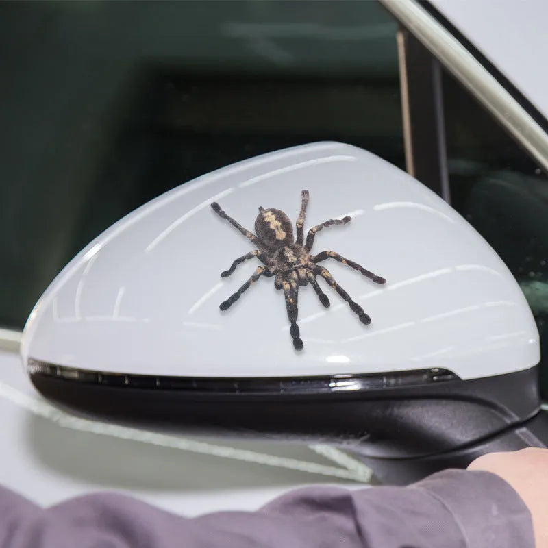 Set of four 3D transparent PVC car stickers featuring spider, gecko, scorpion, and spider designs on a vehicle panel
