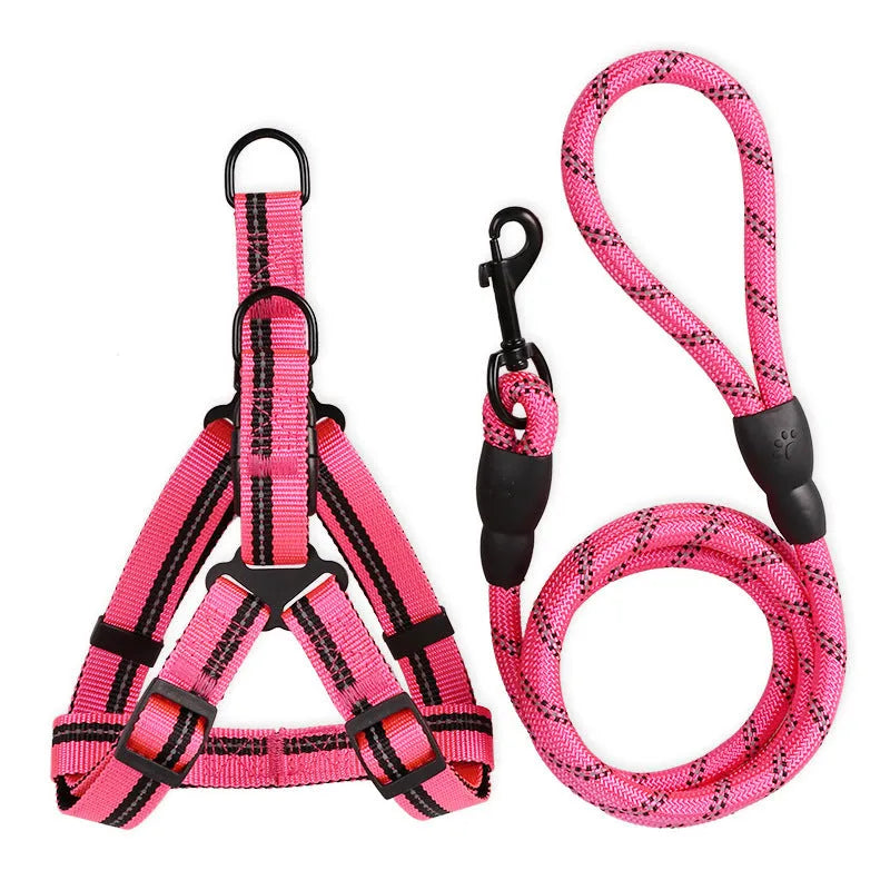Nylon reflective dog leash with chest back harness in black, for small to medium dogs